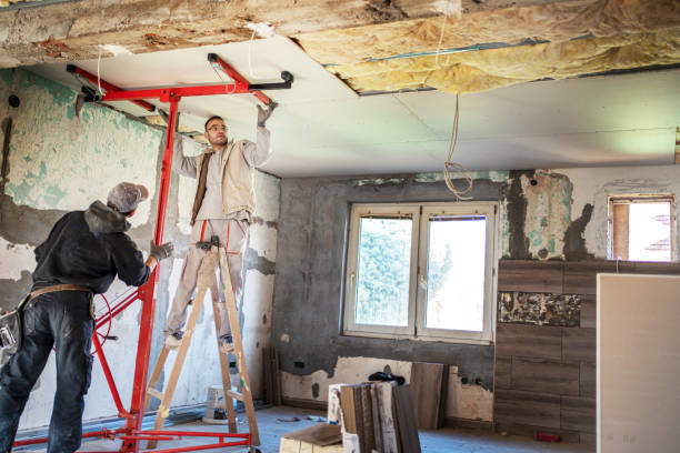 Best Insulation Maintenance and Repair in Camp Wood, TX