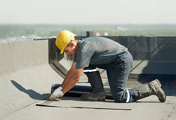 Best Cellulose Insulation in Camp Wood, TX